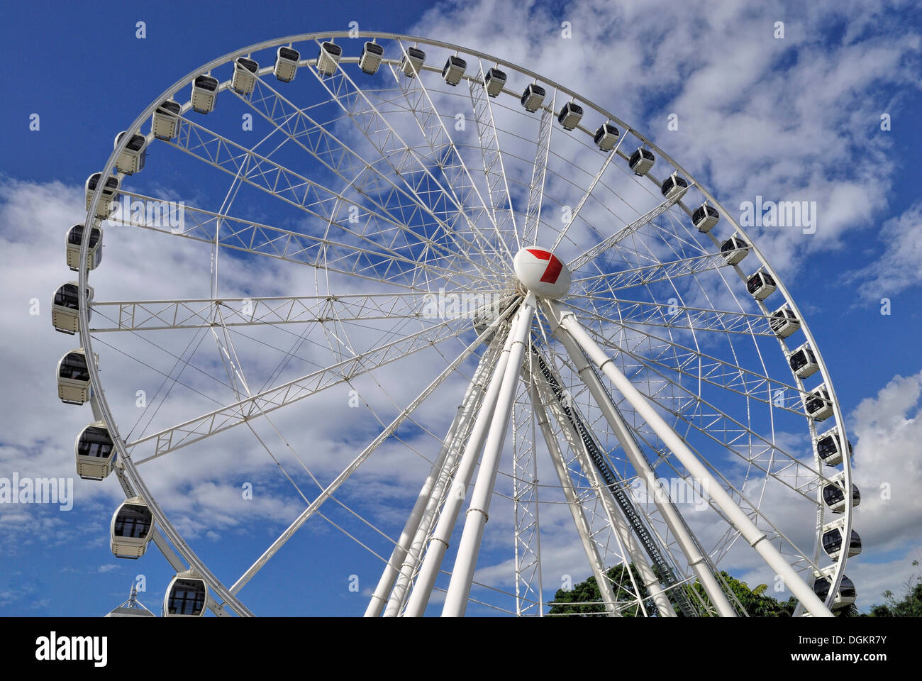 La ruota, ruota panoramica Ferris, South Bank Parklands, Brisbane, Queensland, Australia Foto Stock