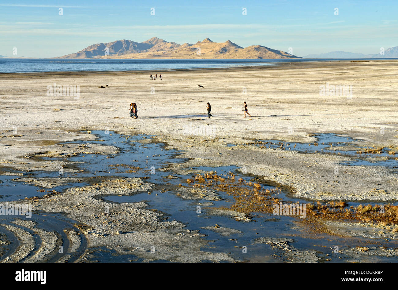 Spiaggia gli escursionisti a piedi sulla riva del Grande Lago Salato, Salt Lake City, Utah, Stati Uniti d'America Foto Stock
