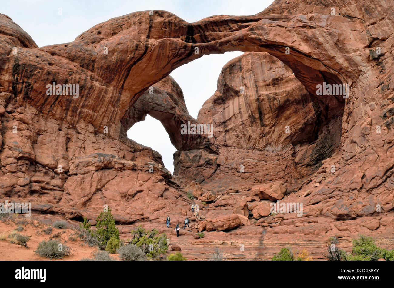 Il doppio arco, formazione di rocce di arenaria rossa, Arches National Park, Moab, Utah, Stati Uniti d'America Foto Stock