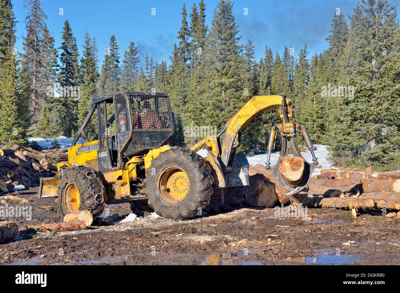 Pila di tronchi con attrezzature pesanti, bulldozer, Highway 65, Grand Mesa National Forest, Colorado, STATI UNITI D'AMERICA Foto Stock