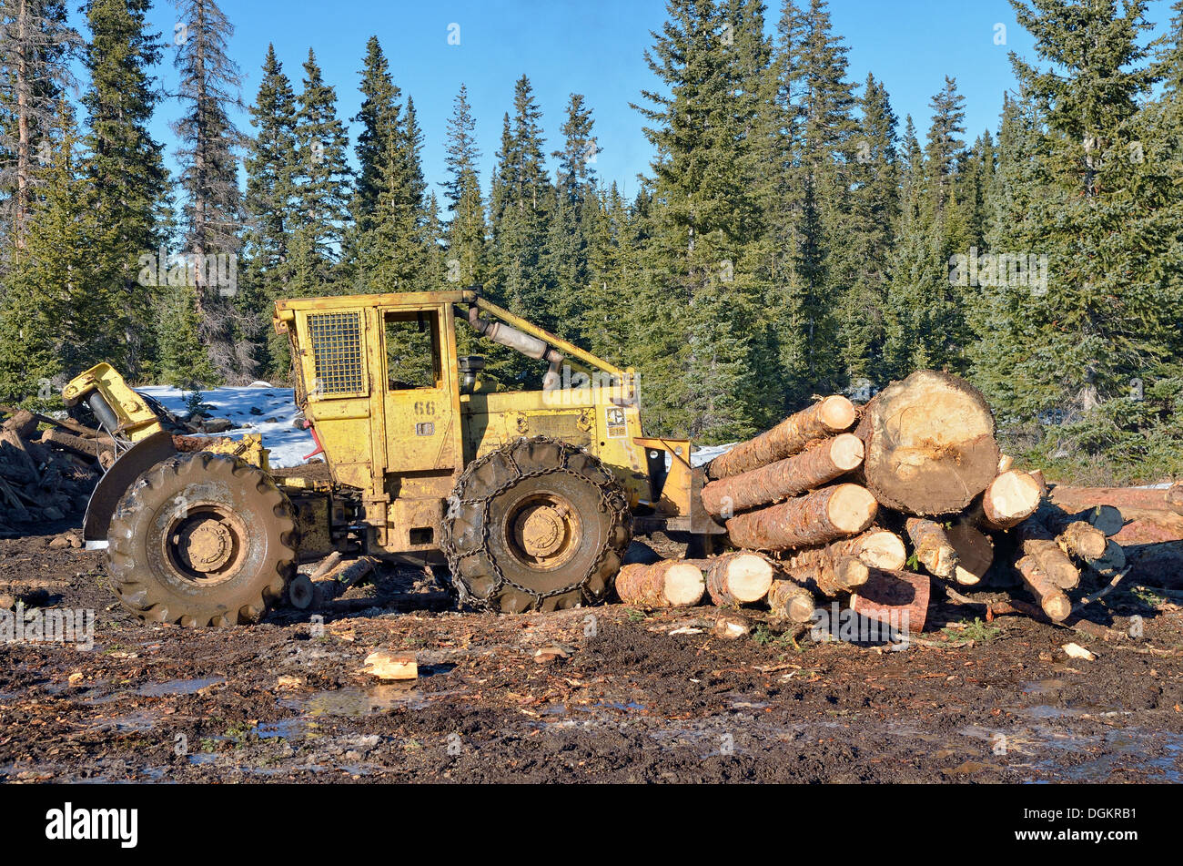 Pila di tronchi con attrezzature pesanti, bulldozer, Highway 65, Grand Mesa National Forest, Colorado, STATI UNITI D'AMERICA Foto Stock