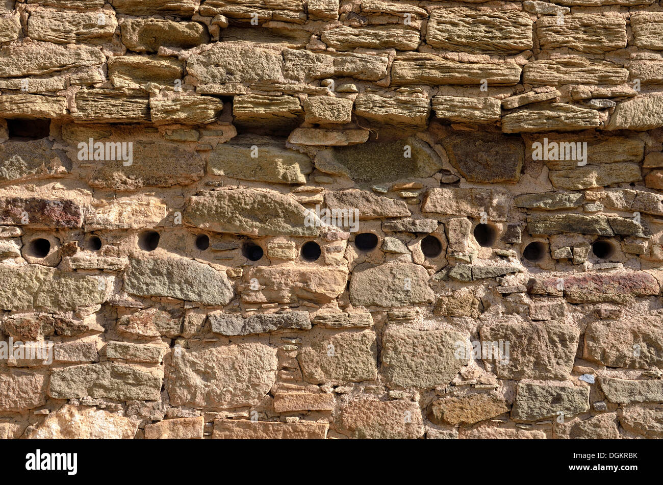Dettaglio della parete con aperture per la rotonda di travi di supporto, storico insediamento Anasazi, Aztec Ruins National Monument, azteca, Nuovo Messico Foto Stock