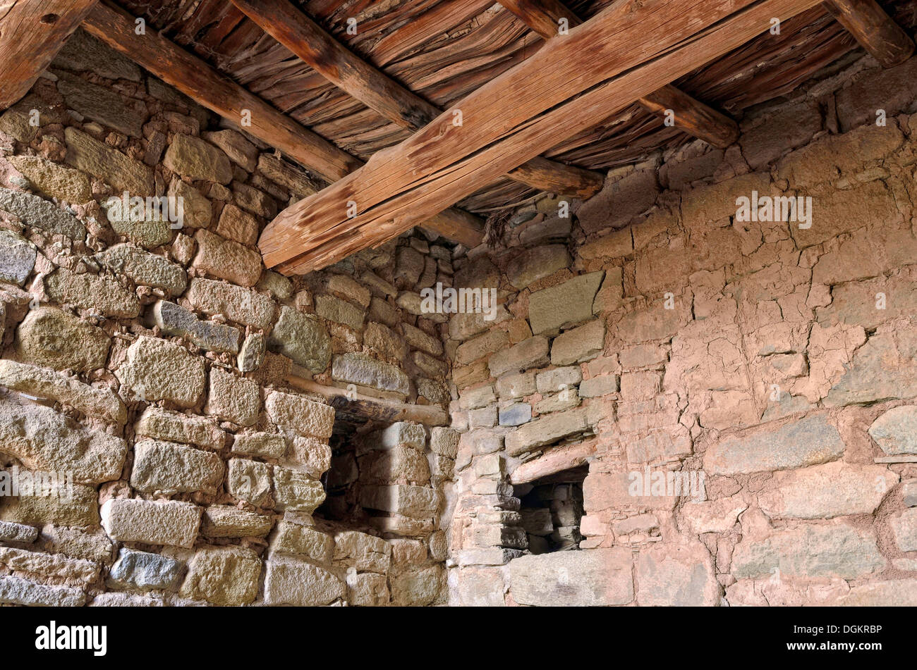 Pareti e soffitto, dettaglio storico insediamento Anasazi, Aztec Ruins National Monument, azteca, Nuovo Messico, STATI UNITI D'AMERICA Foto Stock
