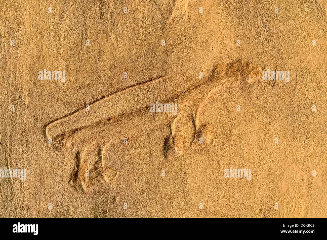 Rappresentazione di un animale, scratch disegno degli Anasazi in una scogliera, Chaco Culture National Historical Park, Nagaezi Foto Stock