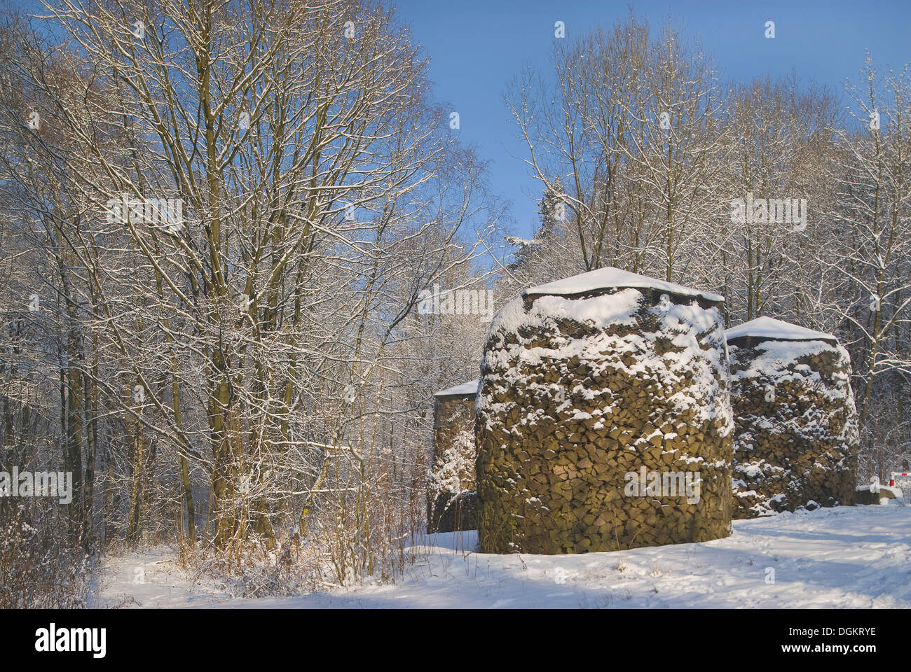 Neve-coperta di foresta coperta con pali di legno, industria del legno Foto Stock
