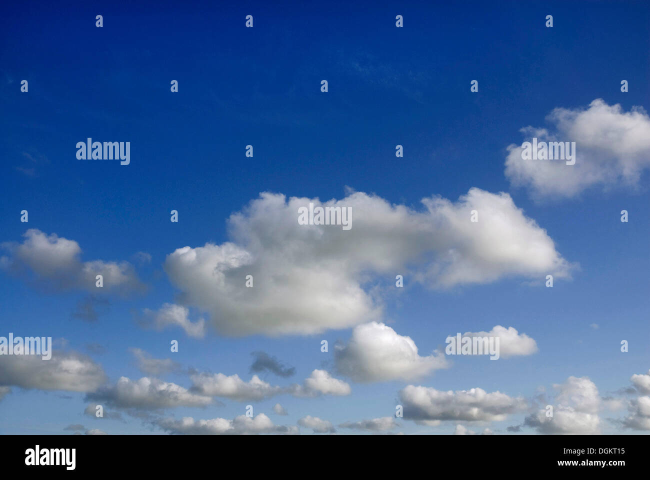 Cumulus nuvole nel cielo Foto Stock