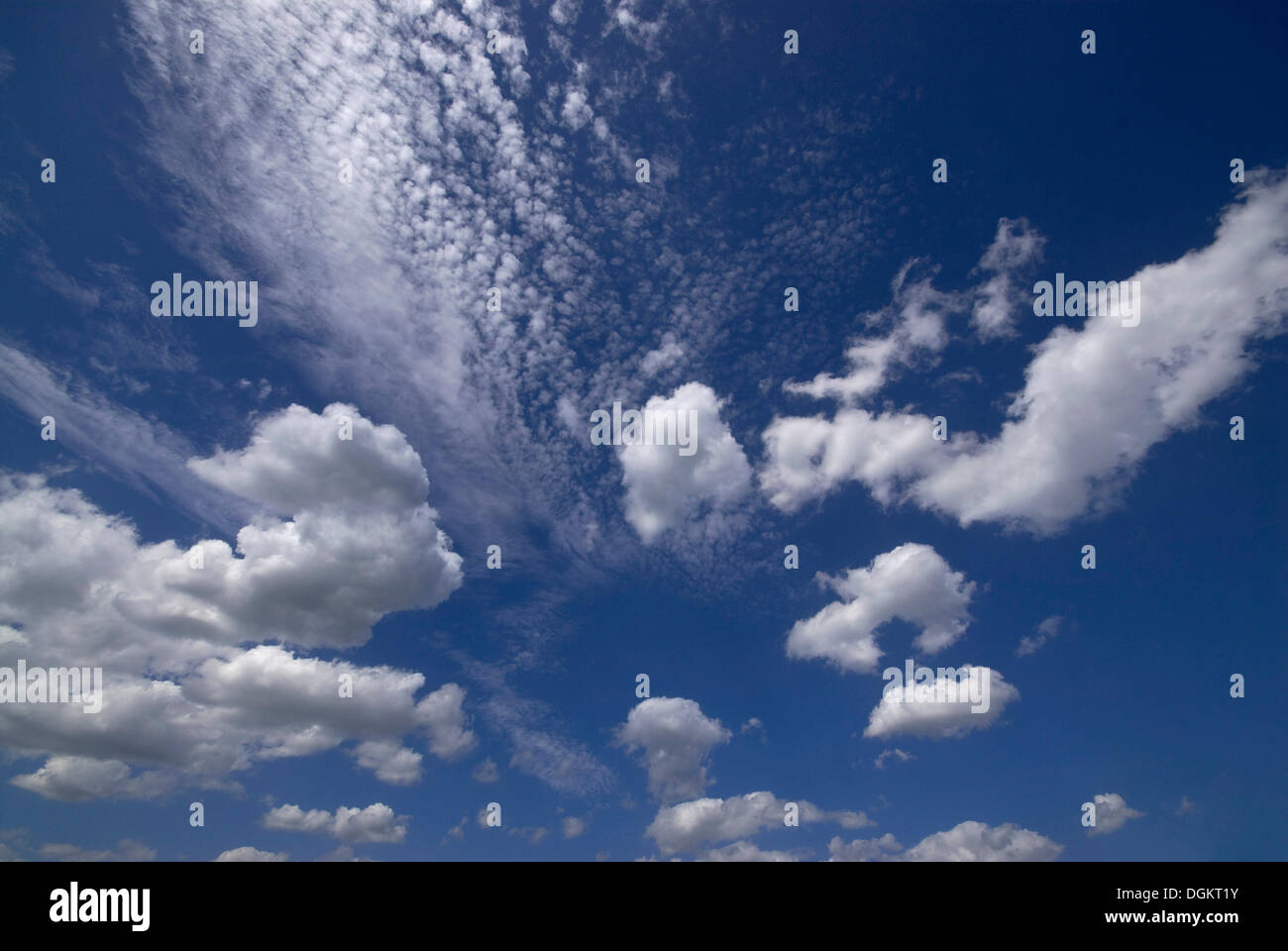 Nuvole, cumulus nuvole e nuvole cirrus, contro un cielo blu Foto Stock