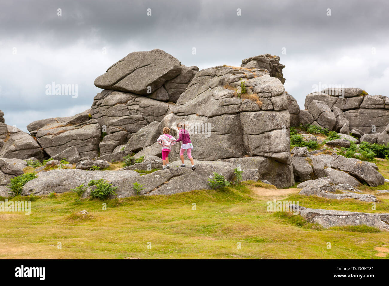 Bonehill rocce nel Parco Nazionale di Dartmoor. Foto Stock