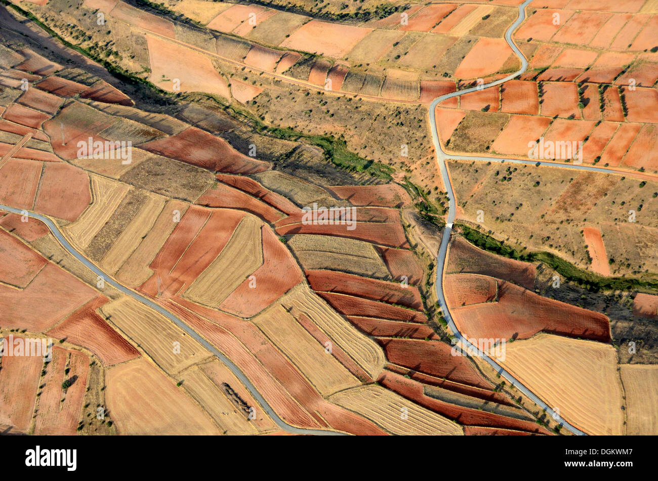 Vista aerea, castigliano campagna, Soria, Castiglia e León, Spagna Foto Stock