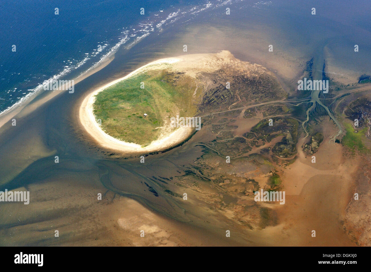Vista aerea, Nigehoern isola in Hamburg il Wadden Sea, Neuwerk, Hamburg, Amburgo, Germania Foto Stock