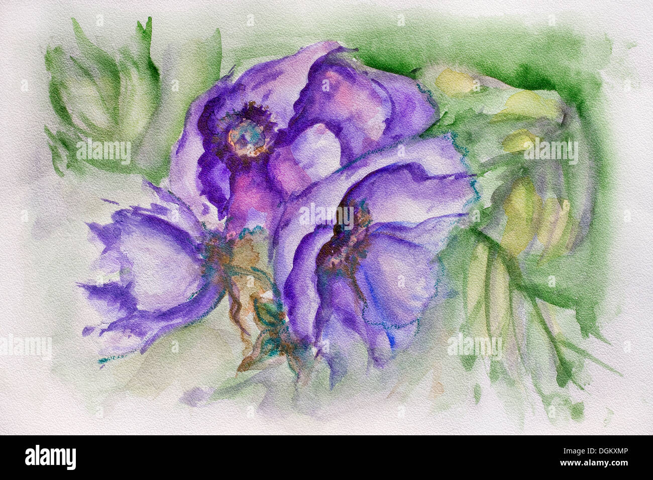 Immagine esempio del blue terry tulip sullo specifico textured professional carta acquerello Foto Stock