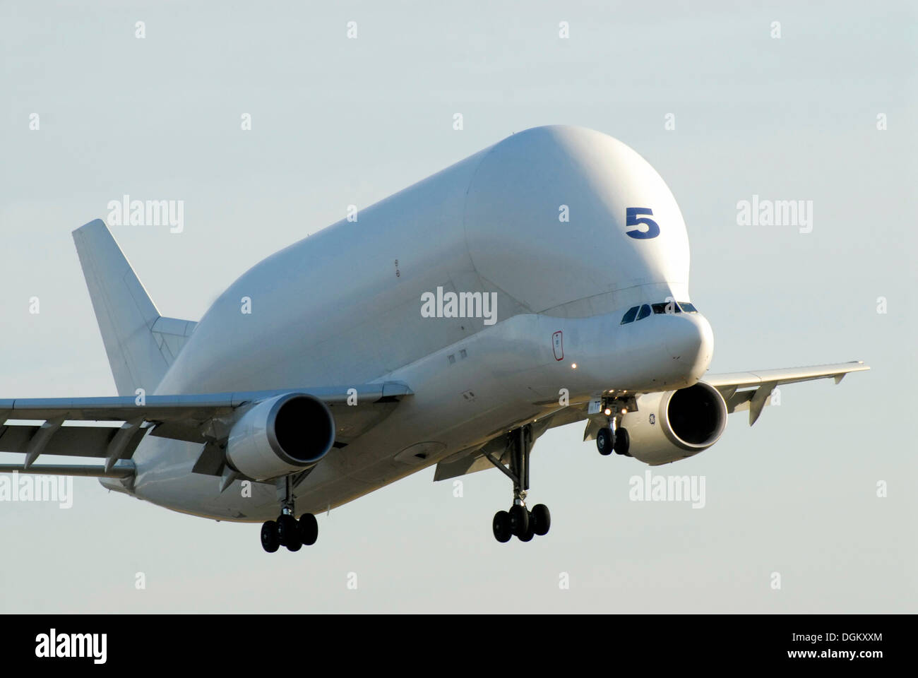 Trasporti aerei Airbus A300-600ST Super Transporter, noto anche come il Beluga, Hamburg, Amburgo, Germania Foto Stock