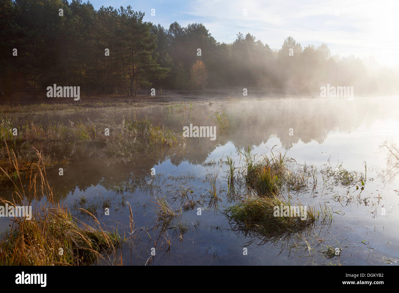 Germania/Brandeburgo/Casel, nebbia è visto di mattina in un lago nel Brandeburgo, 14 Ott 2013 Foto Stock