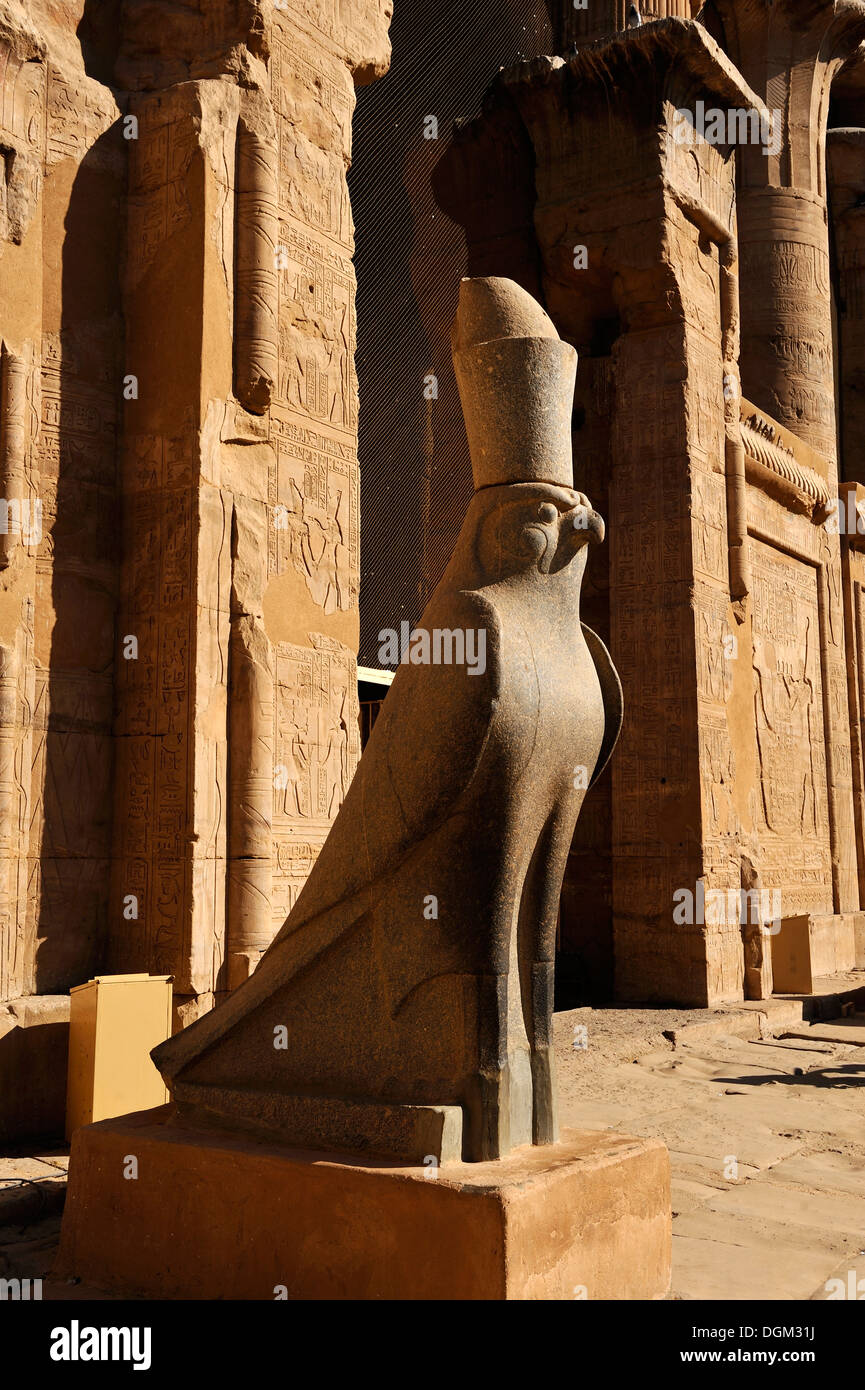 Colossale statua in granito nero di Horus all'entrata Hypostyle Hall, Tempio di Horus in Edfu, l'Alto Egitto Foto Stock