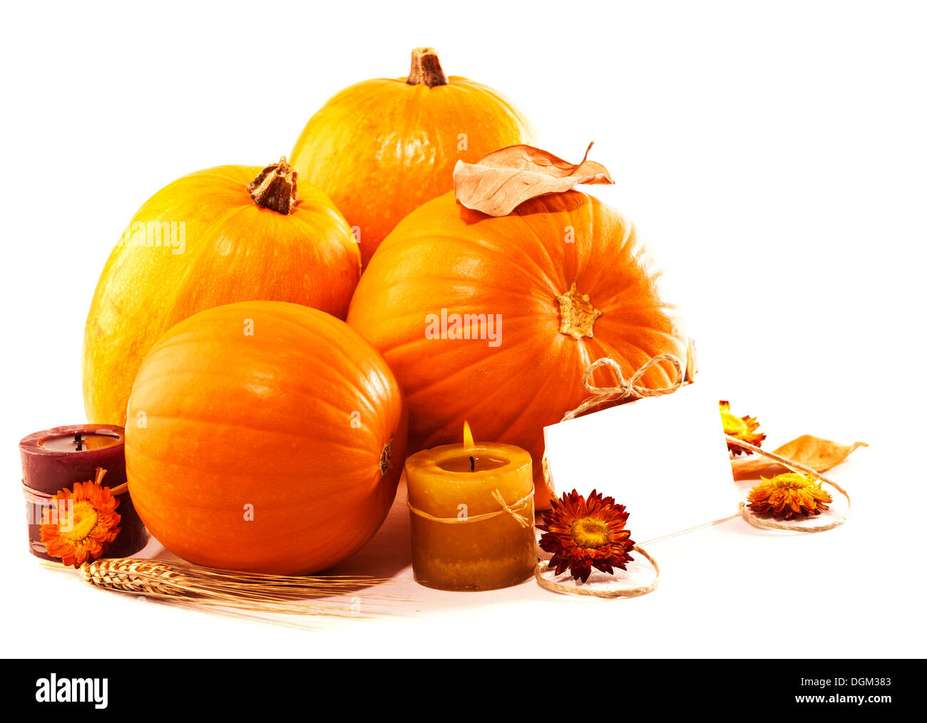 La Giornata del ringraziamento biglietto di auguri e tradizionale decor di zucca con candele isolato su sfondo bianco, spazio di copia Foto Stock