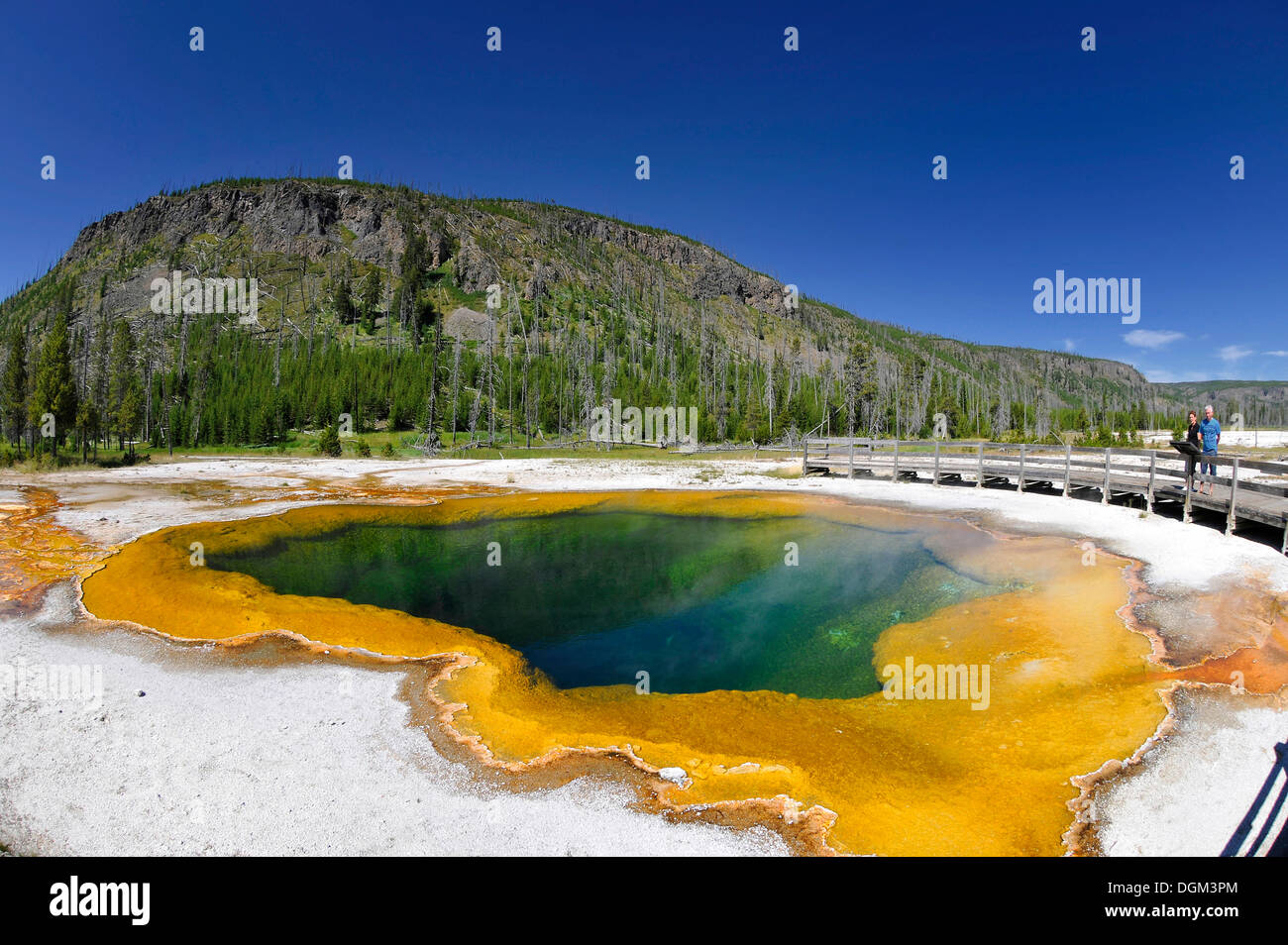 Piscina smeraldo, geyser, area di drenaggio con una passerella, colorato di batteri termofili, microrganismi, nero bacino di sabbia Foto Stock
