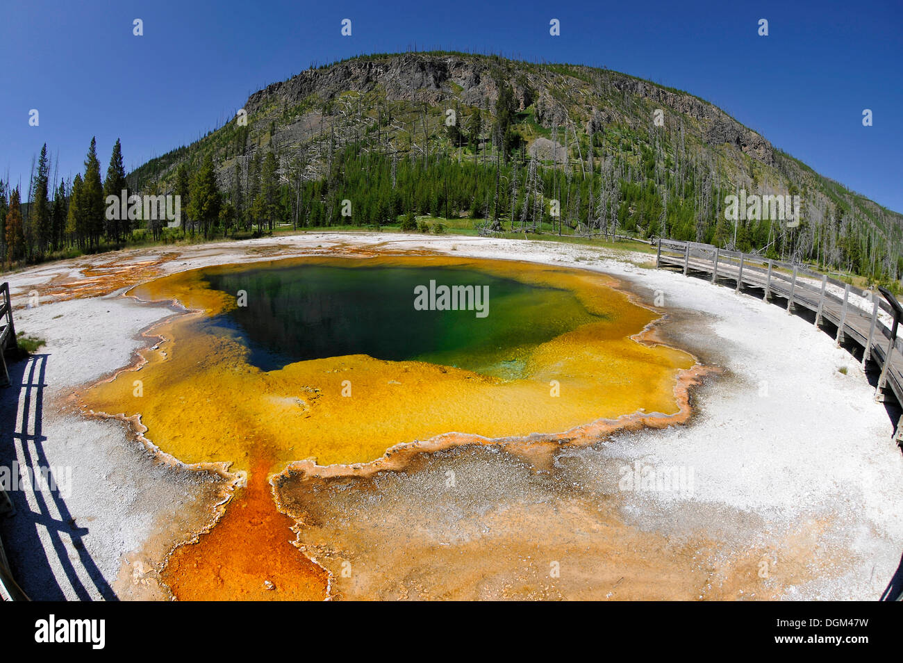 Piscina smeraldo, geyser, area di uscita e colorati di batteri termofili, microrganismi, Boardwalk, nero bacino di sabbia Foto Stock