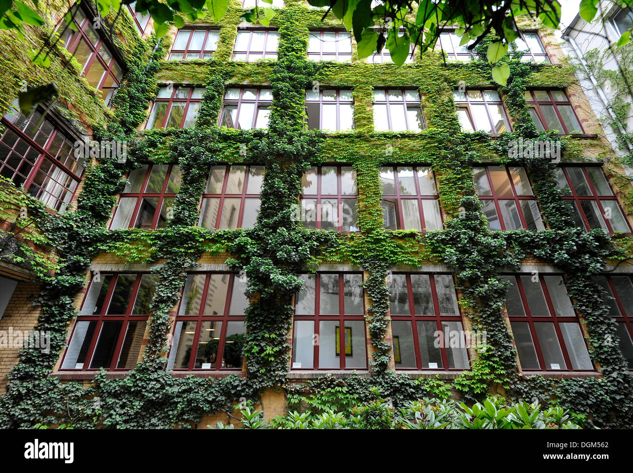 Sophie-Gips-Hoefe, iarde, quartiere Mitte di Berlino Foto Stock