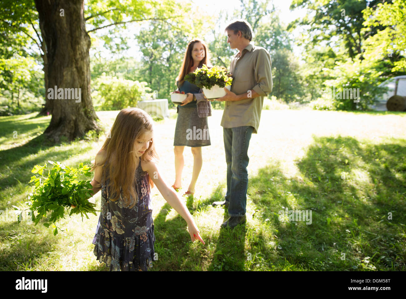Azienda agricola biologica.Due adulti che trasportano i cartoni di verdure fresche e piante. Una ragazza che trasportano i grappoli di erbe aromatiche fresche. Foto Stock