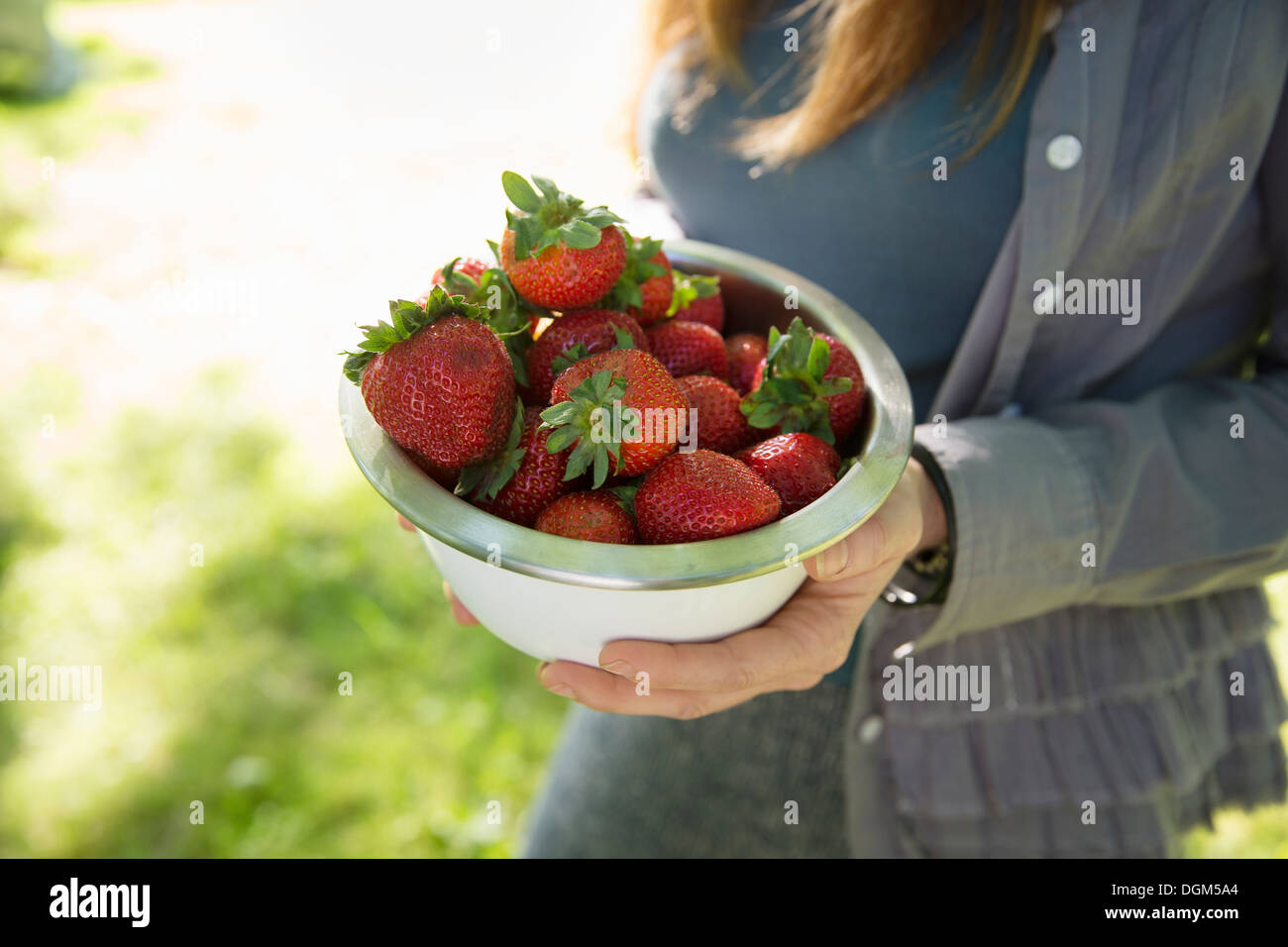 Nella fattoria. Una donna che porta una ciotola di organici raccolti freschi fragole. Foto Stock
