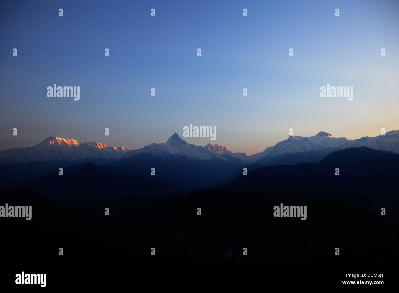 Alba sul picco di coda di pesce & Tharpu Chuli Mountain parte dell'Annapurna mountain range visto da di Pokhara, Himalaya corse di montagna Foto Stock