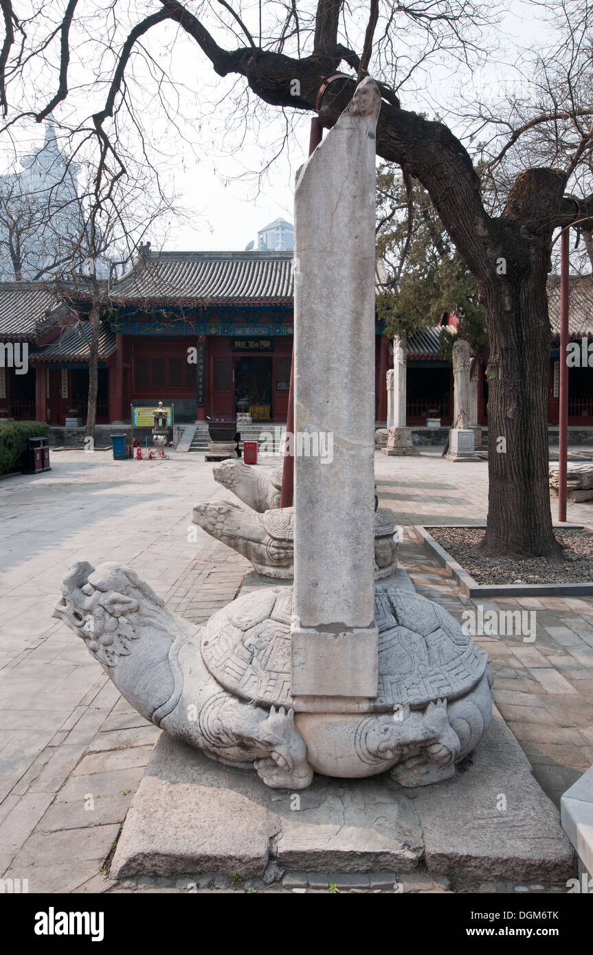 Tavolette di pietra sulla statua di tartaruga in taoista Dongyue Temple di Chaoyang District, Pechino, Cina Foto Stock