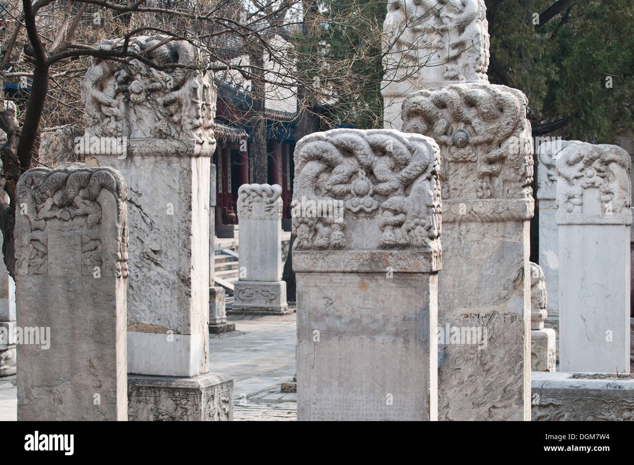 Tavolette di pietra che dava sul cortile in taoista Dongyue Temple di Chaoyang District, Pechino, Cina Foto Stock