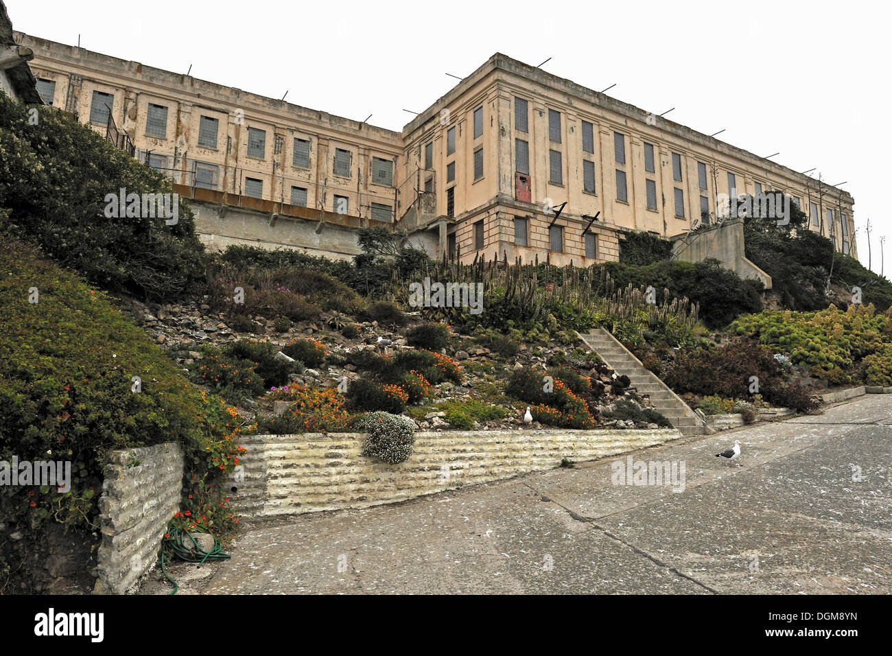 Esterno, blocco di cella, Isola di Alcatraz, CALIFORNIA, STATI UNITI D'AMERICA Foto Stock