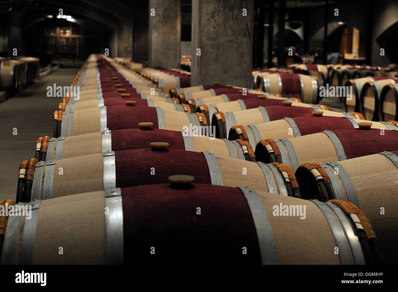 Botti di rovere francese nella cantina di invecchiamento del Robert Mondavi Winery, Napa Valley, California, Stati Uniti d'America Foto Stock