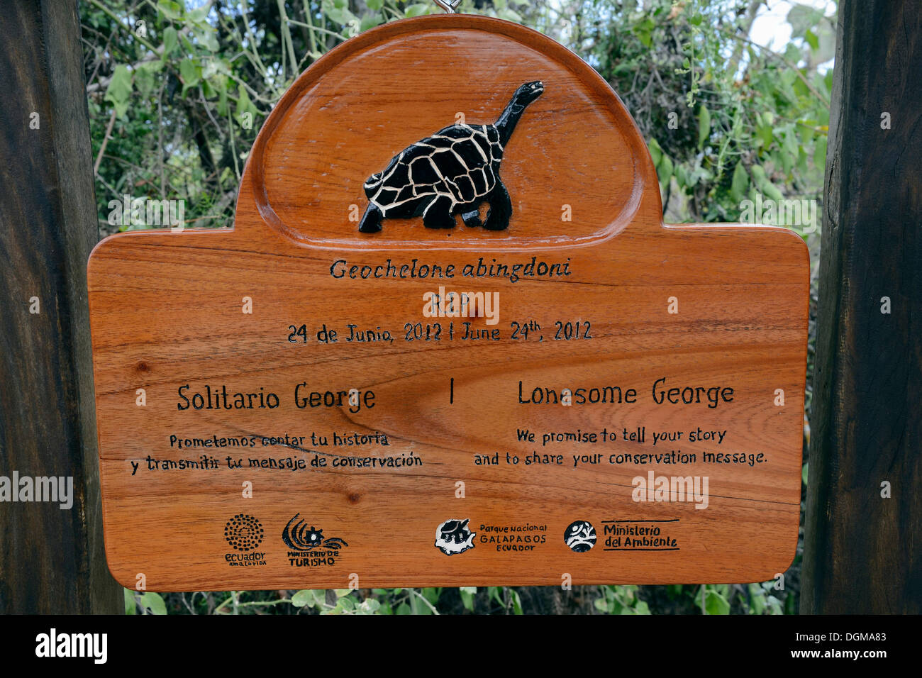 Targa commemorativa per Lonesome George, deceduto nel giugno 2012, ultimi noti campioni di una sottospecie di tartaruga gigante Foto Stock