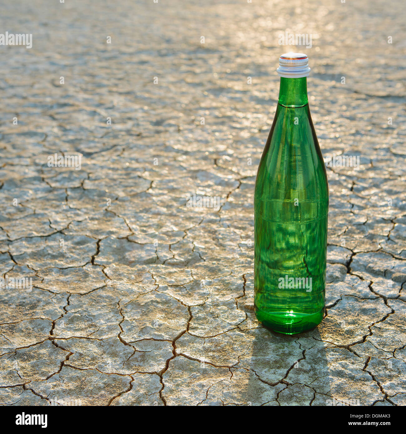 Il paesaggio del Black Rock Desert in Nevada. Una bottiglia di acqua. Si filtra l'acqua minerale. Foto Stock