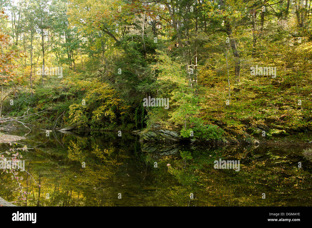 Bushkill Creek e la foresta di stato Jacobsburg park Nazaret, PA. Stati Uniti d'America Foto Stock