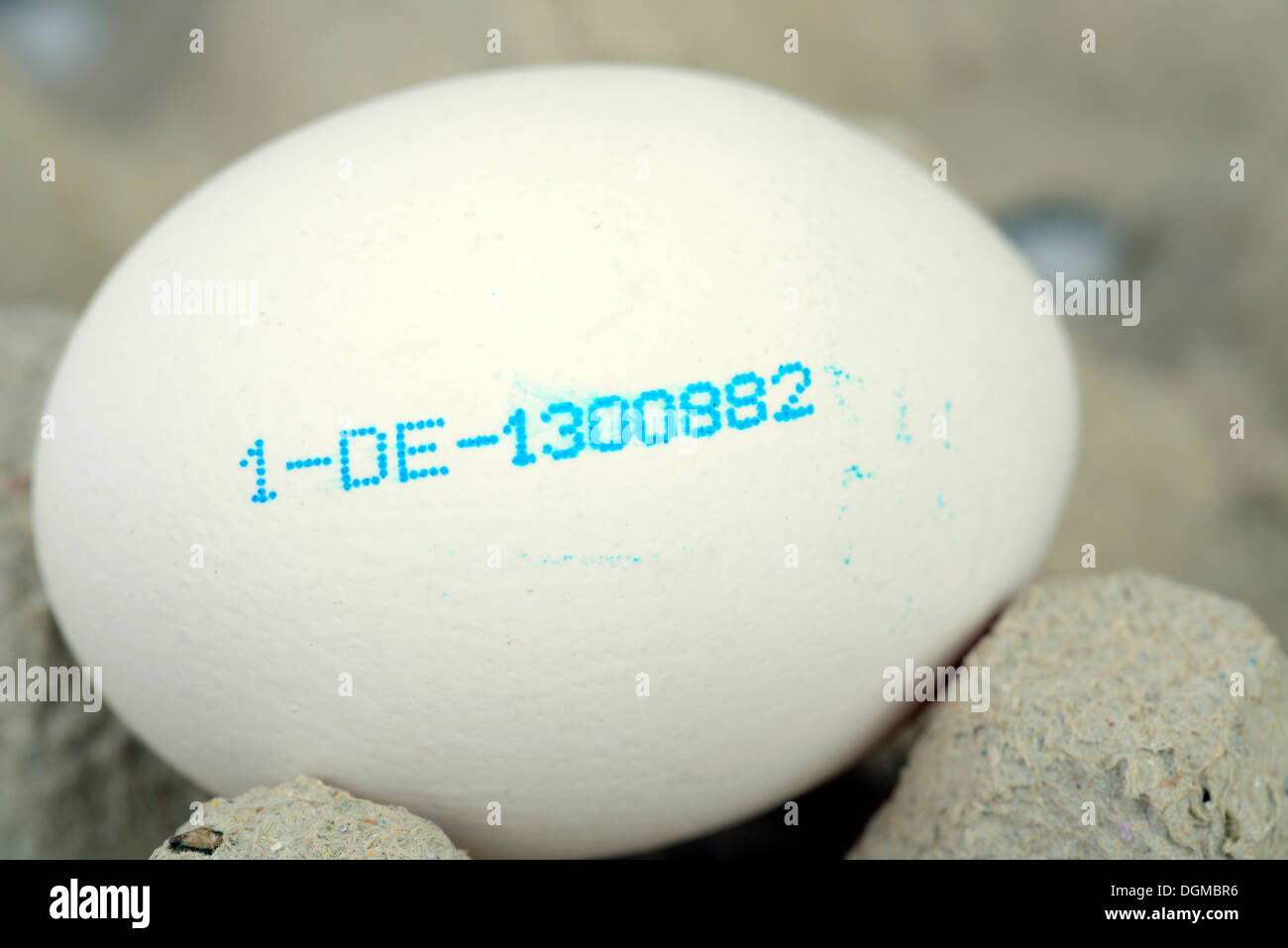 Uova di colore bianco con il codice del produttore, Germania Foto Stock