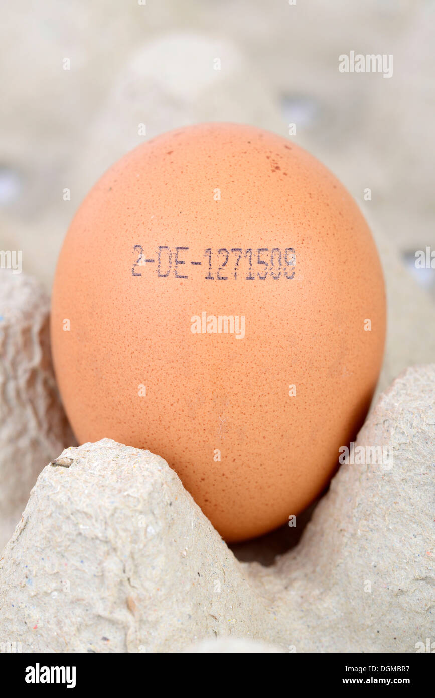 Uovo marrone con il codice del produttore, Germania Foto Stock