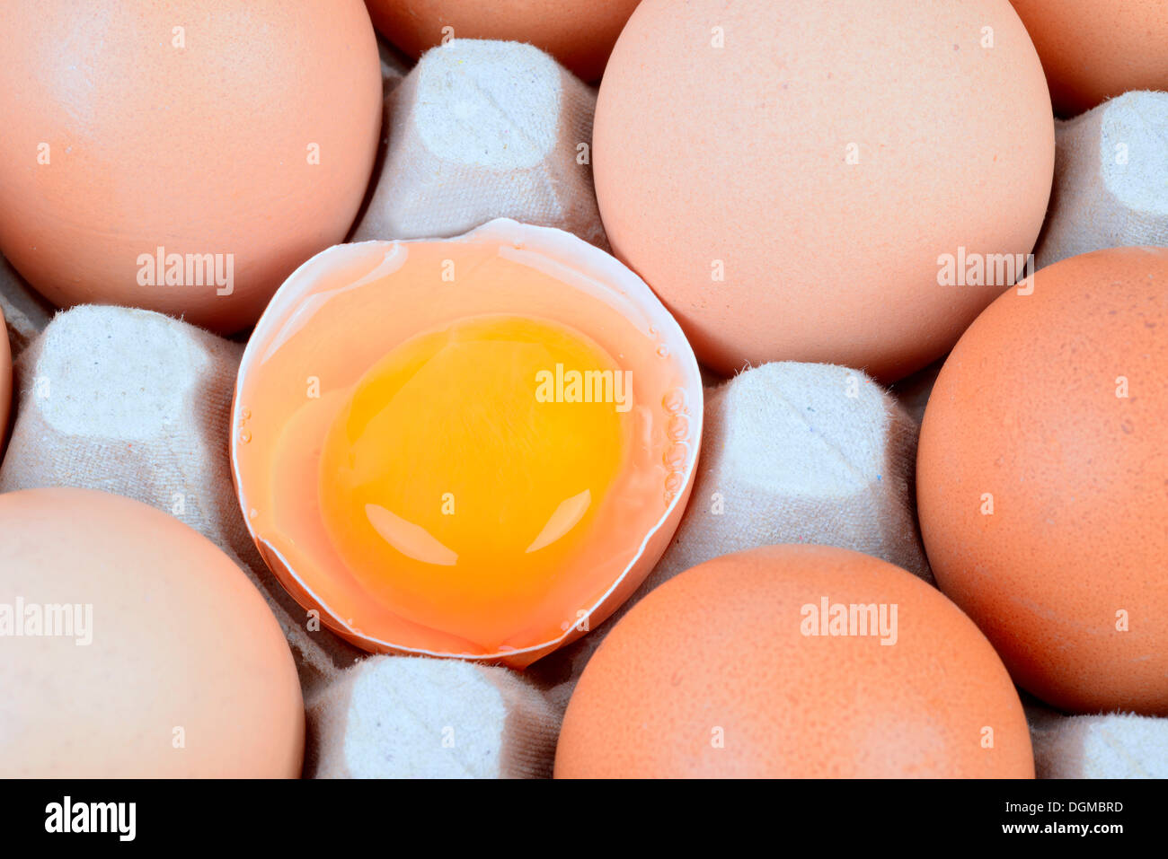 Solo uovo rotto aperto tra le altre uova su un vassoio di uova, Germania Foto Stock