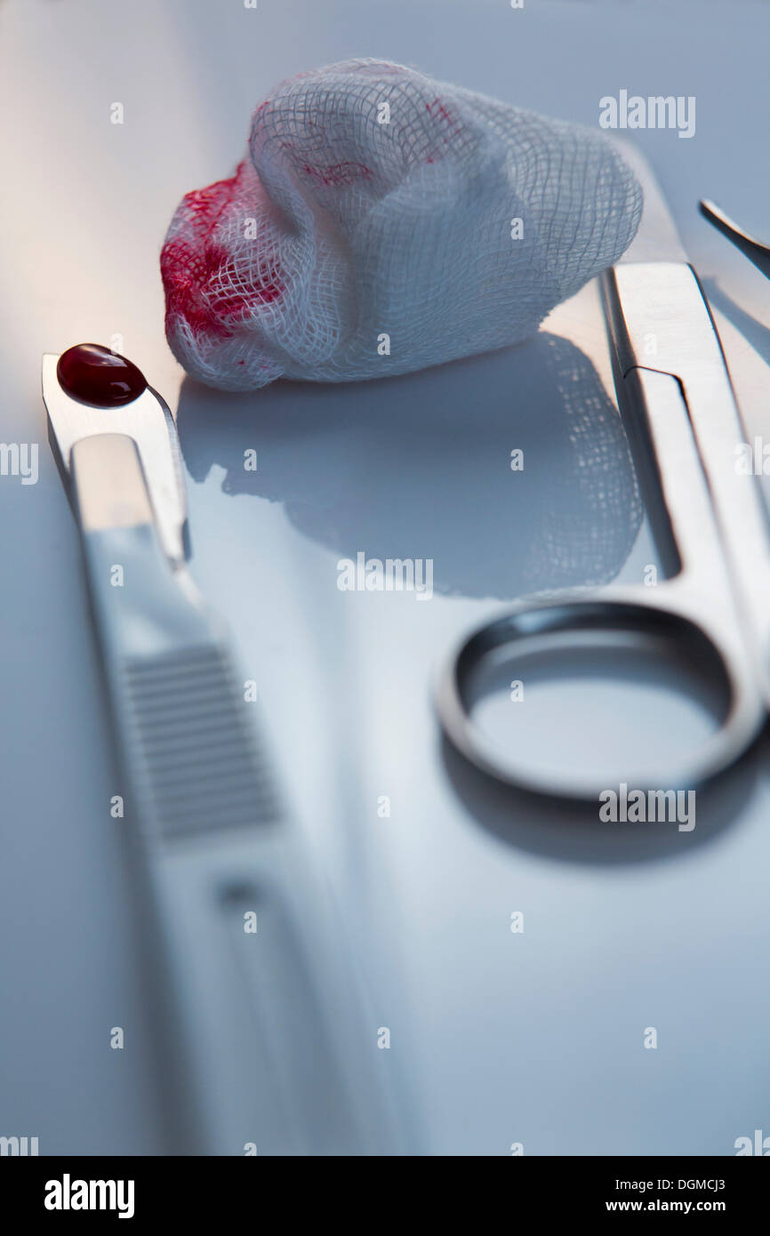 Un bisturi e sangue su un batuffolo di cotone, strumenti chirurgici, Germania Foto Stock