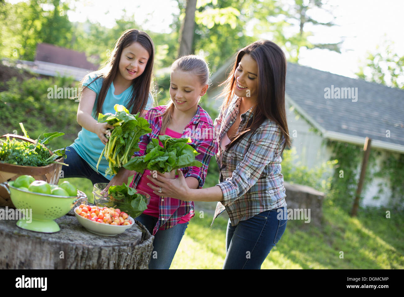 Azienda agricola biologica. Summer Party. Due ragazze e un giovane adulto la preparazione di foglie di insalata a buffet. Foto Stock