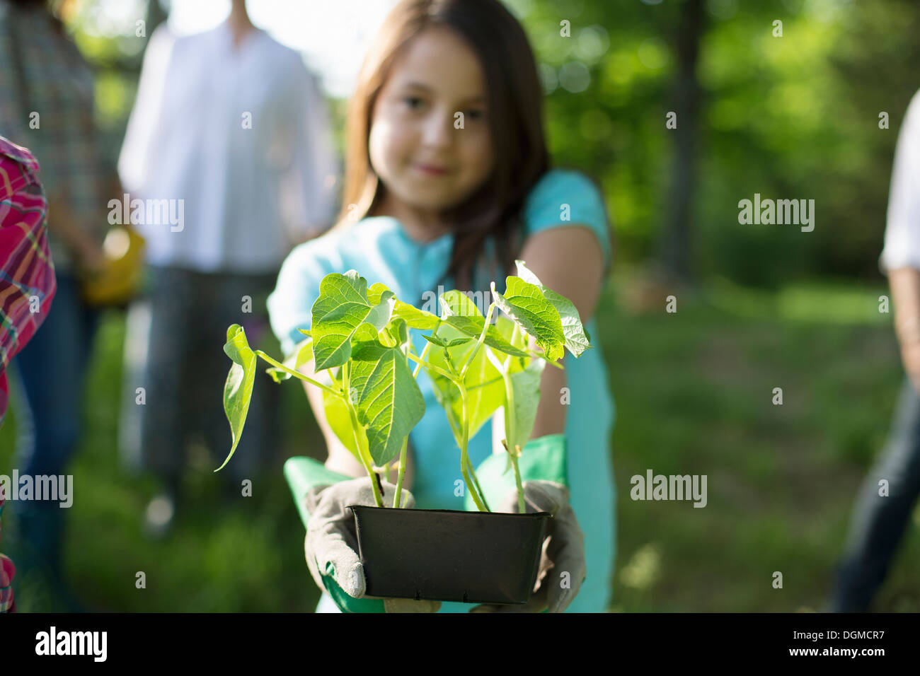 Azienda agricola biologica. Summer Party. Una giovane ragazza tenendo fuori un vassoio di piantine di piante. Foto Stock