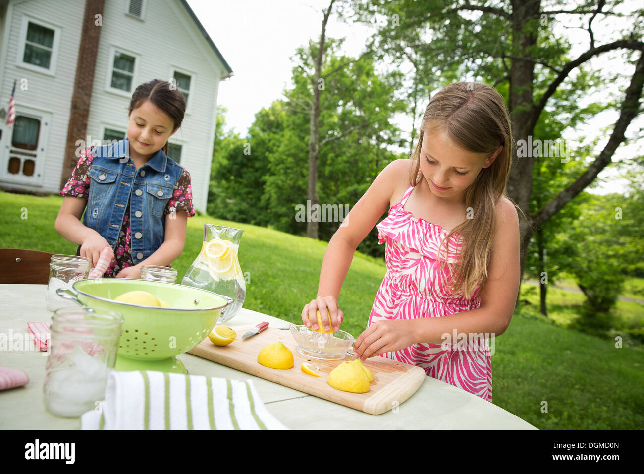 Un estate incontro di famiglia in una fattoria. Due ragazze che lavorano insieme, rendendo limonata fatta in casa. Foto Stock