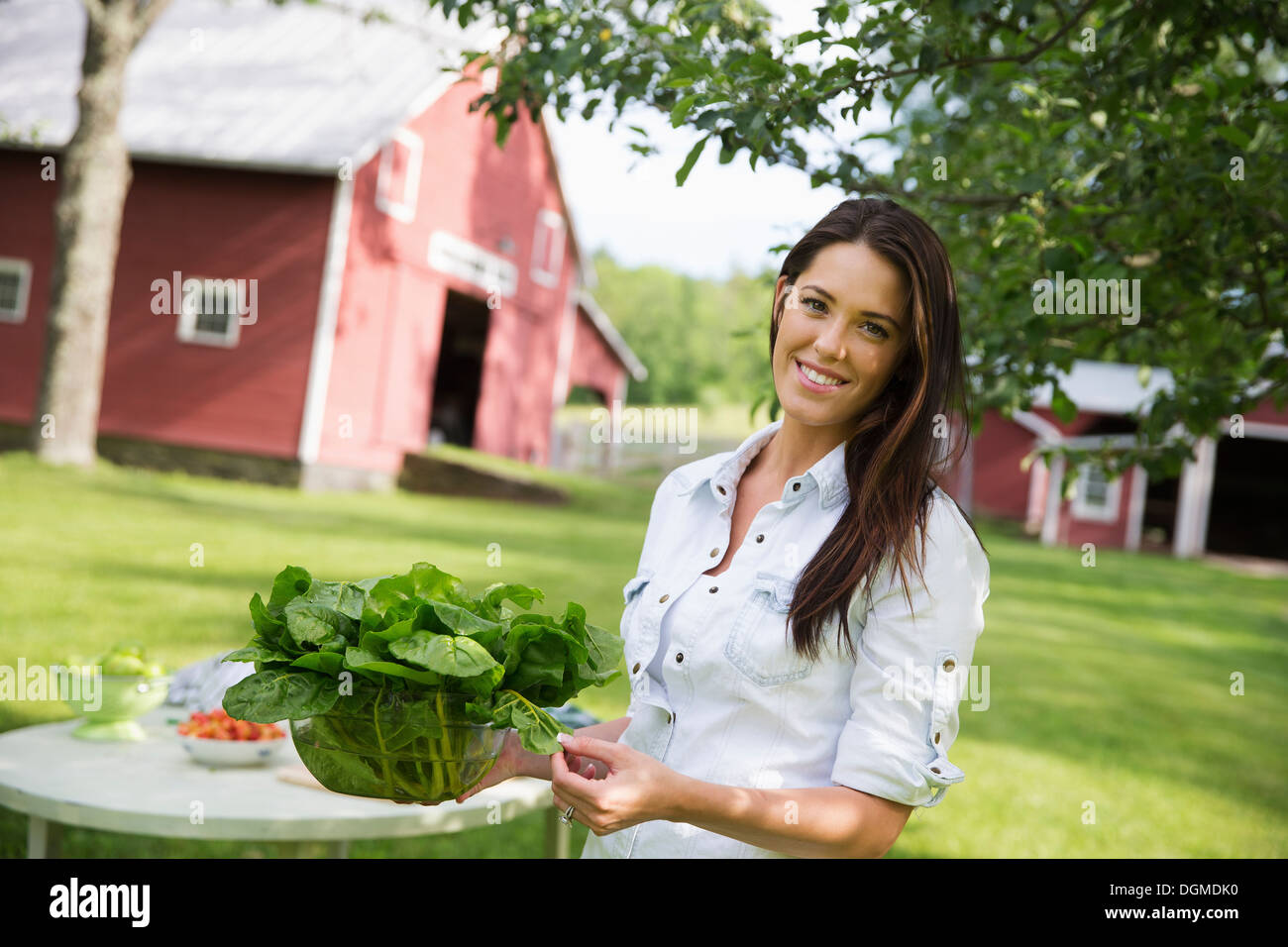 Un estate famiglia raccolta azienda giovane donna capelli lunghi marrone arrotolato manicotti portando grande ciotola di fresco verde foglie di insalata Foto Stock