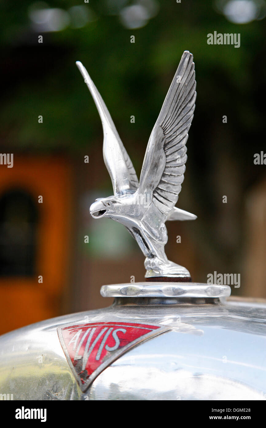 Ornamento del cofano, Alvis Silver Crest, costruito nel 1935, International Grossglockner Grand Prix 2012, classic car rally di montagna Foto Stock