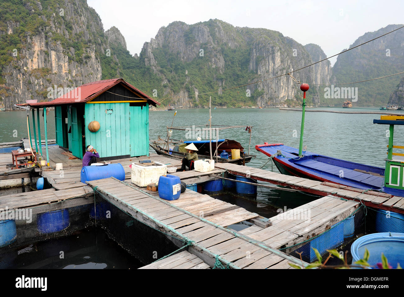 Floating piscicoltura, Halong Bay, Vinh Ha Long, Vietnam del Nord, Vietnam, Asia sud-orientale, Asia Foto Stock