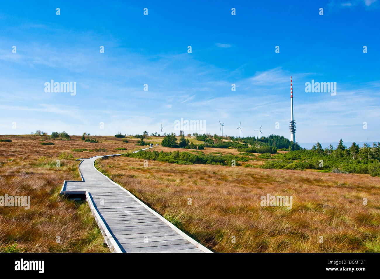 Hornisgrinde mountain, boardwalk a Hornisgrinde sentiero didattico, Foresta Nera, Baden-Wuerttemberg Foto Stock