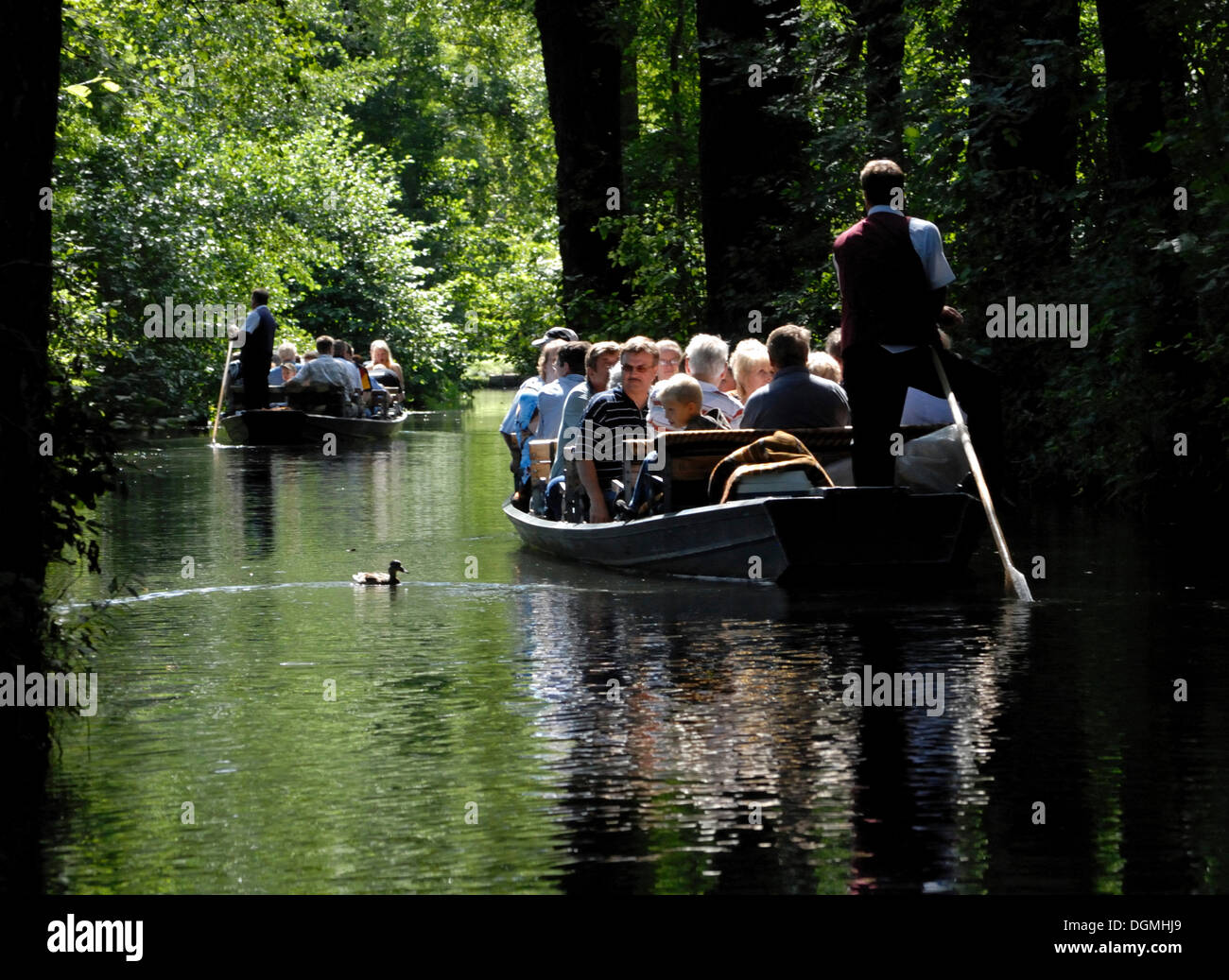 Barche con persone nella regione Spreewald, Brandenburg Foto Stock