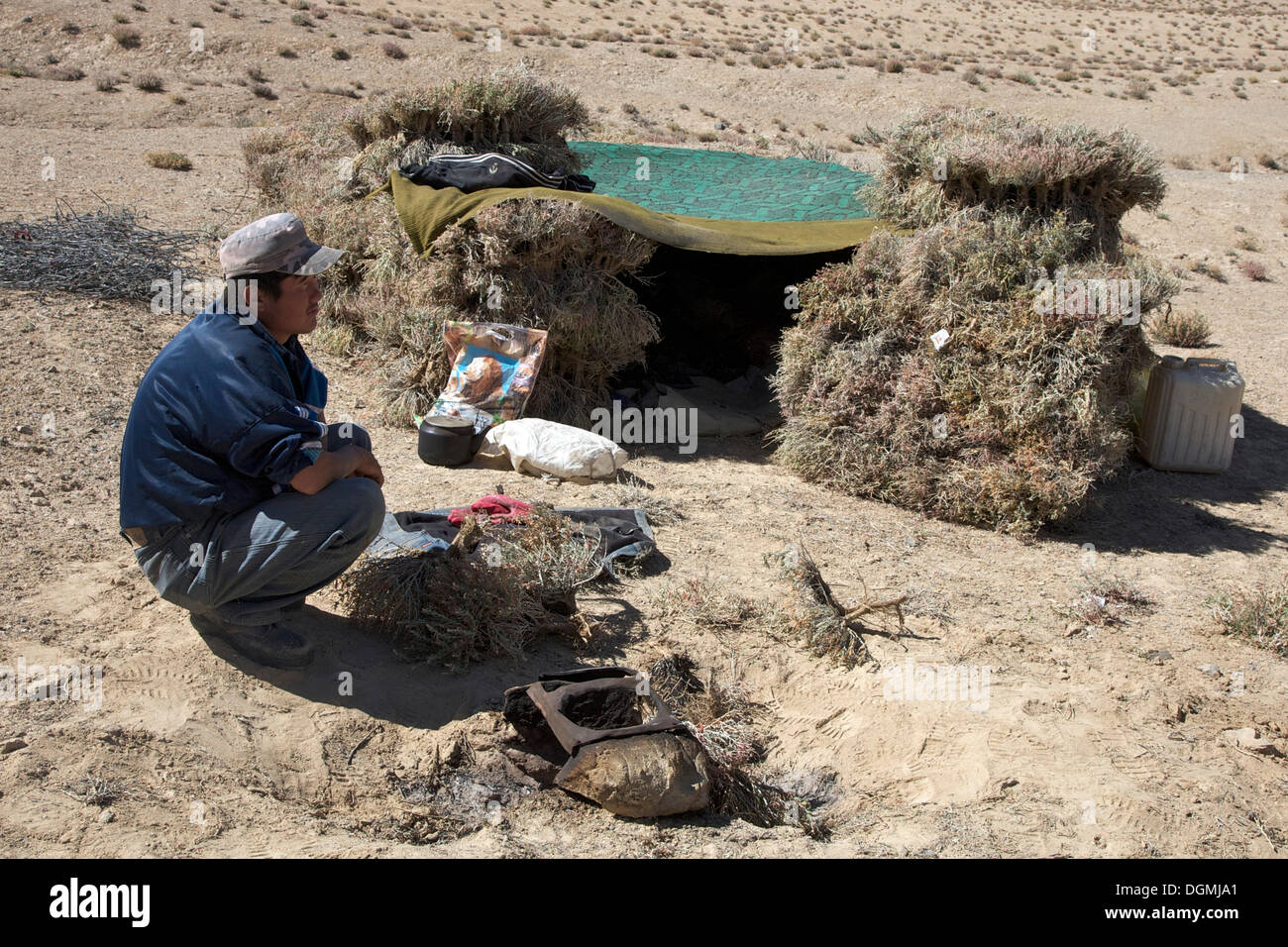Campo Lavoratore teleskin taglio boccole che vengono utilizzati come combustibile per riscaldamento, seduto di fronte al suo rifugio, regione del Pamir, Tagikistan Foto Stock