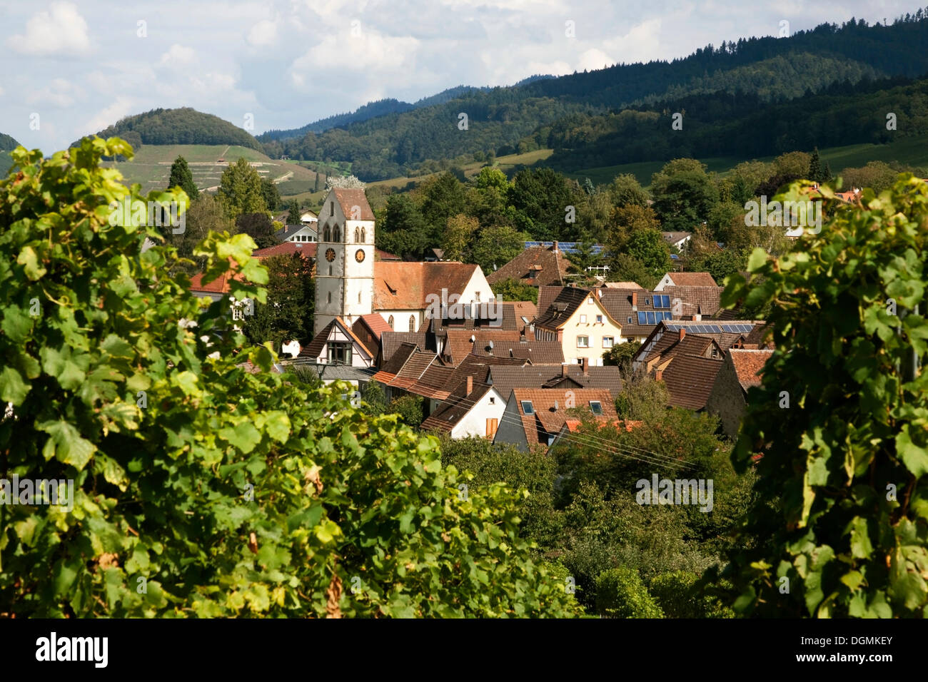 Il villaggio del vino di Britzingen Markgraeflerland nella regione con la chiesa protestante di San Johannes, Foresta Nera Foto Stock