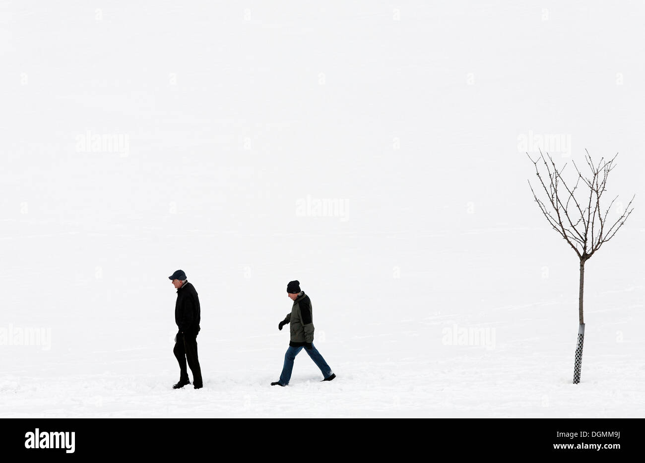 Due uomini a piedi nella neve, uno di seguito all'altro con lunghi passi, Harz, Sassonia-Anhalt Foto Stock