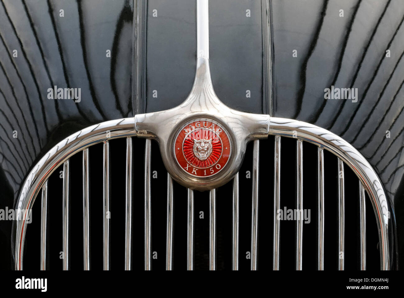 Jaguar XK 150, griglia del radiatore con il logo, British vintage auto da 1957 Foto Stock