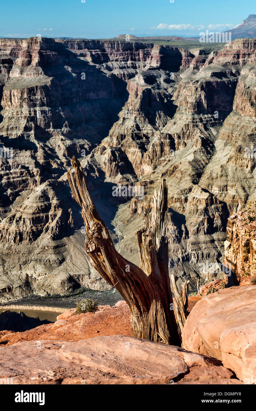 West Rim del Grand Canyon. Foto Stock