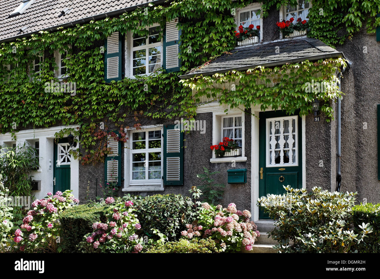 Idilliaco townhouse dal 1920, coperto di edera, zona residenziale storica del giardino Margarethenhoehe Town, Essen, la zona della Ruhr Foto Stock